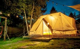 Glamping z alpakami